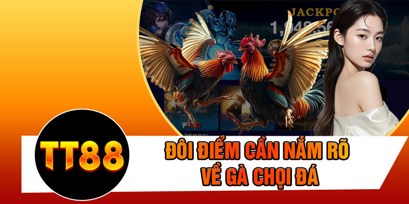 Đôi Điểm Cần Nắm Rõ Về Gà Chọi Đá
