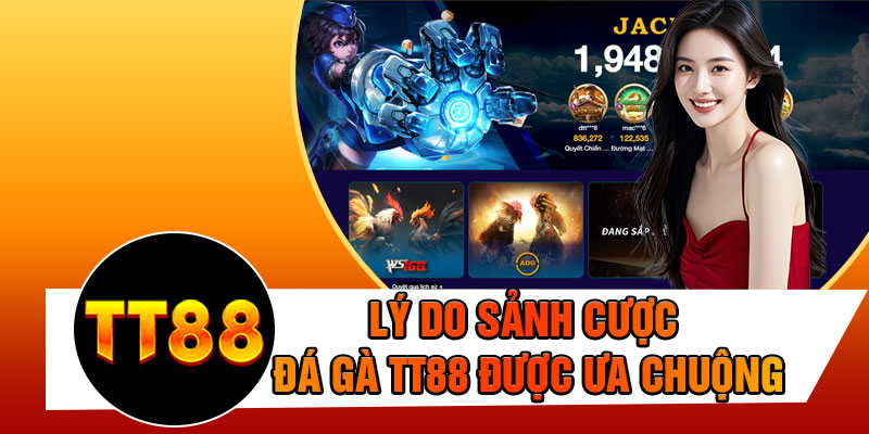 Lý Do Sảnh Cược Đá Gà TT88 Được Ưa Chuộng